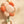 Laden Sie das Bild in den Galerie-Viewer, Spieluhr - Pretty Picnic
