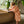 Laden Sie das Bild in den Galerie-Viewer, Bademantel - Jacquard Flower - 1-2 Jahre
