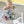 Laden Sie das Bild in den Galerie-Viewer, Kindergeschirr Set | Tiny Team | Hund
