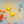 Laden Sie das Bild in den Galerie-Viewer, GLO PALS DANIEL TIGER CUBES BROWN
