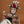 Laden Sie das Bild in den Galerie-Viewer, PETIT BOUM MOVE BOTTLE T-REX
