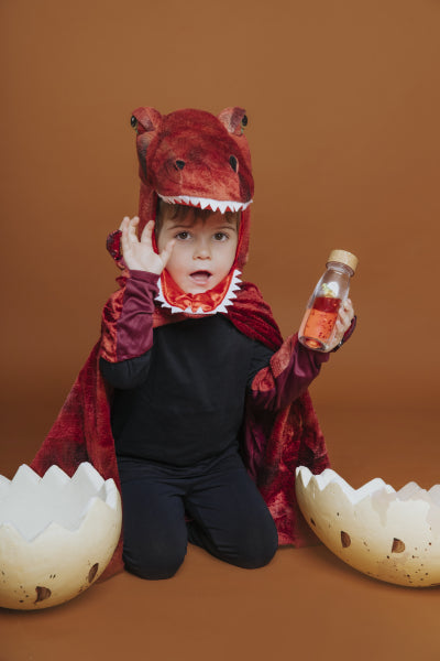 PETIT BOUM MOVE BOTTLE T-REX