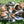 Laden Sie das Bild in den Galerie-Viewer, Flex-Snacktablett | Wonderfold
