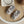 Laden Sie das Bild in den Galerie-Viewer, Vegan Shoes - Coconut
