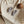 Laden Sie das Bild in den Galerie-Viewer, Vegan Shoes - Coconut
