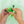 Laden Sie das Bild in den Galerie-Viewer, GLO PALS Pippa Character Green
