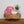 Laden Sie das Bild in den Galerie-Viewer, Hoppstar Artist blush

