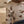 Laden Sie das Bild in den Galerie-Viewer, NBFGAYO KEP LS SLIM BODY LIL
