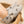 Laden Sie das Bild in den Galerie-Viewer, Vegan Shoes - Coconut
