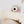 Laden Sie das Bild in den Galerie-Viewer, Hoppstar Expert blush
