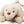 Laden Sie das Bild in den Galerie-Viewer, Golden Puppy Shoulder Bag | 25cm
