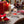Laden Sie das Bild in den Galerie-Viewer, Legami Set mit 12 weihnachtlichen Tischkärtchen
