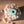 Laden Sie das Bild in den Galerie-Viewer, Hoppstar Popcorn breeze
