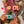 Laden Sie das Bild in den Galerie-Viewer, Hoppstar Popcorn breeze
