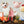 Laden Sie das Bild in den Galerie-Viewer, Folienballon | Schwein | 61x36 cm
