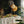 Laden Sie das Bild in den Galerie-Viewer, Folienballon Leo | Happy Birthday | 35x35 cm
