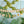 Laden Sie das Bild in den Galerie-Viewer, Banner | Happy Birthday Safari | 180 cm
