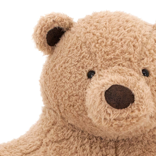 Cuddle Teddy