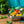 Laden Sie das Bild in den Galerie-Viewer, LEKKABOX Dino Edelstahl Piekser, 4er Set
